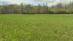 lewrubens.com - Izzabella Robbins Out In The Field thumbnail